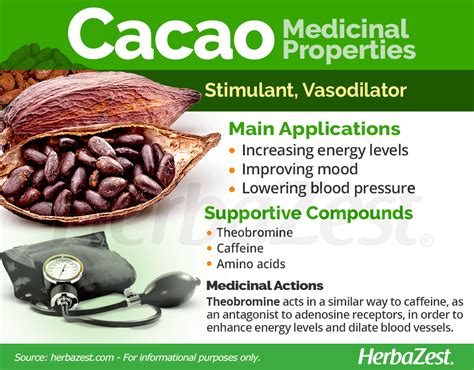 The Philosophy of Cacao and Inner Alchemy